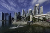 IIP Online Student Photography